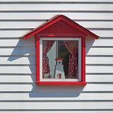 Red Window_03534